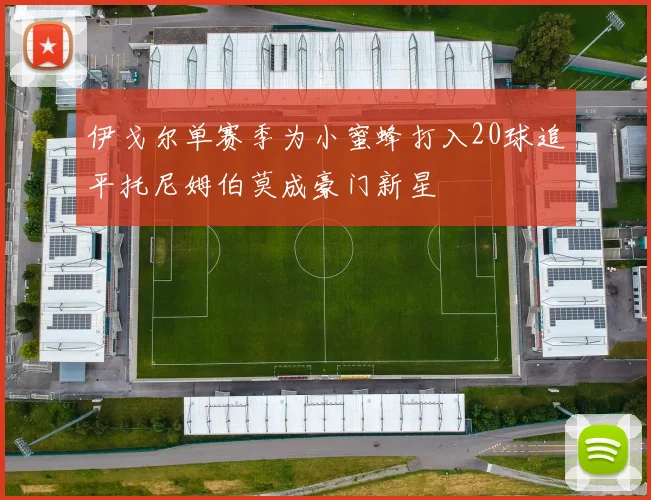 伊戈尔单赛季为小蜜蜂打入20球追平托尼姆伯莫成豪门新星