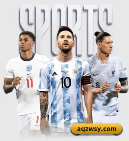 五大服务分区,信息按项目分类